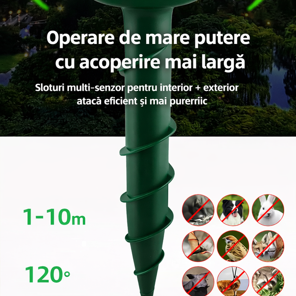 4a1a7805-c278-48ba-8c87-951f895cdbe2.png